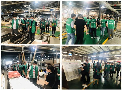 年中盛典，智造未來 619超級工廠購暨財富品鑒會圓滿落幕，揭秘購物商城定制新篇章